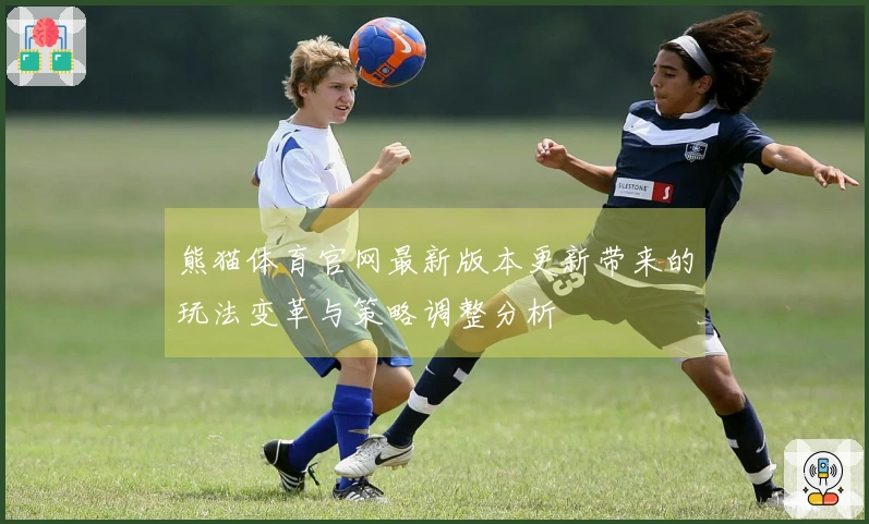 熊猫体育官网最新版本更新带来的玩法变革与策略调整分析
