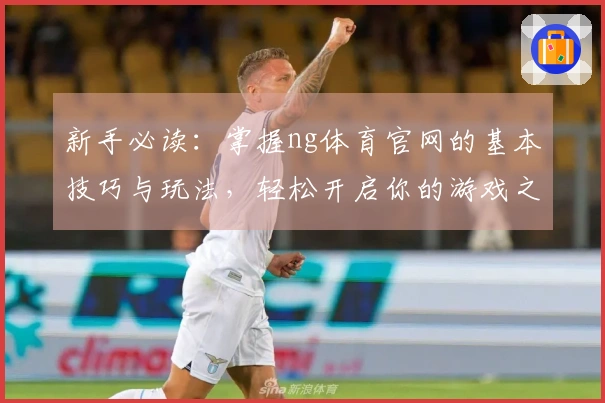新手必读：掌握ng体育官网的基本技巧与玩法，轻松开启你的游戏之旅